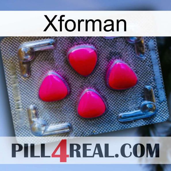 Xforman 13
